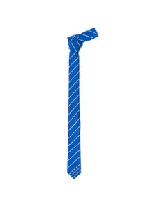 Alexander Mcqueen Man's Striped Blue Silk Tie