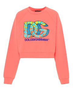 Dolce & Gabbana Logo Detailed Crewneck Sweatshirt