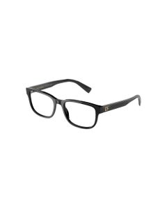 DG3341 501 Glasses